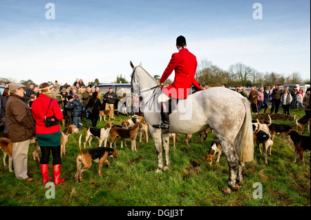 L'Essex Hunt se rassemblent dans le village vert pour le traditionnel Boxing Day rencontrez. Banque D'Images