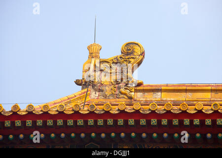 Gable, Verbotene Stadt, Beijing, Chine, République populaire de Chine Banque D'Images