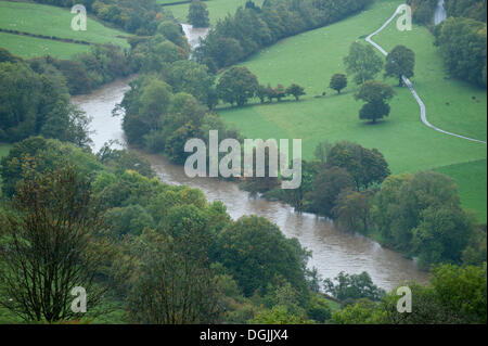 Erwood, Powys, au Royaume-Uni. 22 octobre 2013. Après plusieurs jours de fortes pluies, le terrain devient saturé et que l'eau est en cours d'exécution sur les montagnes à l'origine les niveaux de la rivière à augmenter considérablement. Il y a actuellement 11 des alertes d'inondation pour le pays de Galles et d'un total de 31 pour le Royaume-Uni. Crédit photo : Graham M. Lawrence/Alamy Live News. Banque D'Images