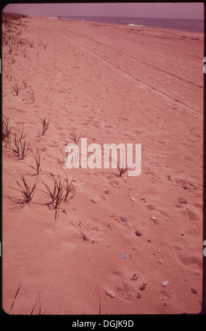 Cette image montre des traces sur une dune de sable, indiquant un mouvement à travers le terrain désertique. Les pistes révèlent la présence de la faune ou de l'activité humaine dans la région. Banque D'Images