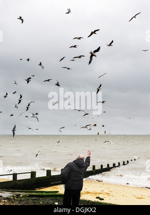 Un homme se nourrir les mouettes sur le front de mer de Southend, dans l'Essex. Banque D'Images