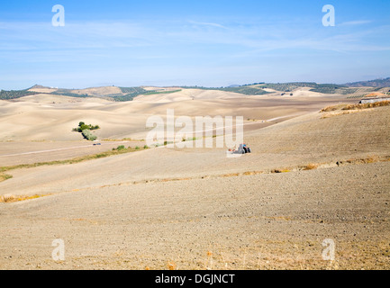 Tracteur labourant les champs à sec en automne campagne ciel bleu près de El Gastor, Cadix, Espagne Banque D'Images