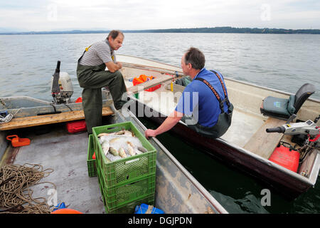 Deux pêcheurs sur le Lac de Starnberg, Fuenfseenland salon, Haute-Bavière, Bavière Banque D'Images