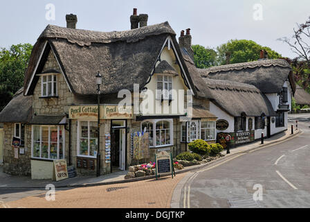 Chaumières et une boutique de thé, avec des souvenirs, vieux village de Shanklin, île de Wight, dans le sud de l'Angleterre, Angleterre, Royaume-Uni Banque D'Images