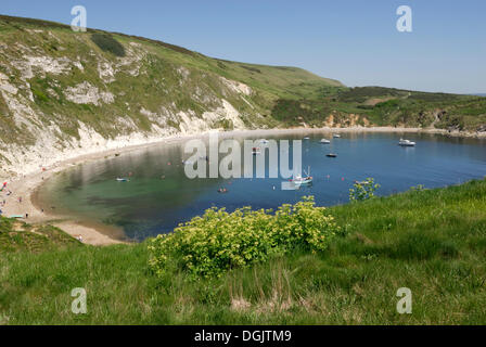 Lulworth Cove, Lulworth, dans le Dorset, dans le sud de l'Angleterre, Angleterre, Royaume-Uni, Europe Banque D'Images