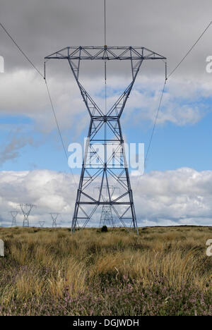 Lignes à haute tension le long de la route 1 à Waiouru, île du Nord, Nouvelle-Zélande Banque D'Images