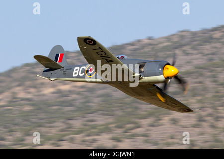 Hawker Sea Fury 'Argonaut' en vol pendant le 2013 National Championship Air Races à Reno, Nevada. Banque D'Images