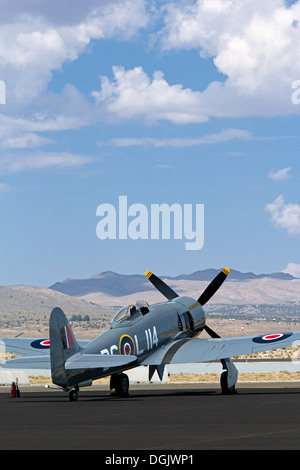 Hawker Sea Fury 'Argonaut' est situé sur la rampe durant le Championnat national 2013 Air Races à Reno, Nevada. Banque D'Images