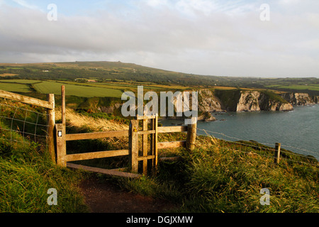 Le Nord de la côte du Pembrokeshire, vu de la côte à Dinas tête entre Newport et Fishguard. Banque D'Images