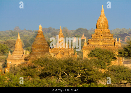 Les temples et pagodes de Bagan au Myanmar en début de matinée. Banque D'Images