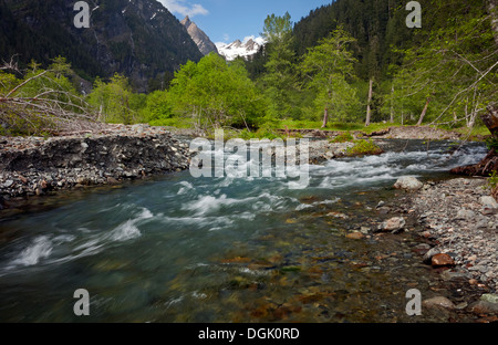 WASHINGTON - La rivière Quinault dans la vallée enchantée avec glaciers Mont Anderson au loin dans le parc national Olympic. Banque D'Images