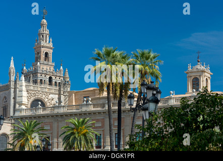 La tour Giralda, la cathédrale, Séville, Andalousie, Espagne Banque D'Images