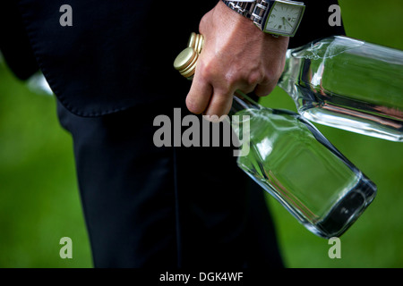 Eau-de-vie de prune, de Slivovice boisson alcoolisée populaire République Tchèque Banque D'Images