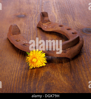 Vieux horseshoe avec le pissenlit sur fond de bois, Close up Banque D'Images