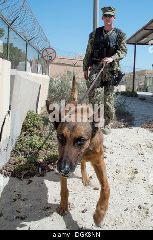 La base navale américaine, Bahreïn (oct. 10, 2013) maître d'armes Seaman Jared Lawrence, attribué à chien de travail militaire (MWD) Ba Banque D'Images