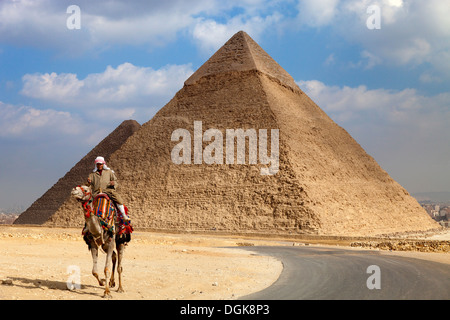 Un chameau rider en face des pyramides de Gizeh. Banque D'Images