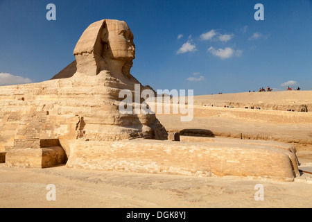 Une vue sur le Le grand Sphinx de Gizeh. Banque D'Images