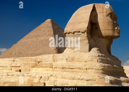 Une vue sur le Le grand Sphinx de Gizeh. Banque D'Images