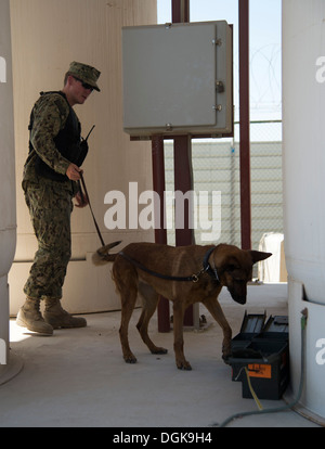 La base navale américaine, Bahreïn (oct. 10, 2013) maître d'armes Seaman Jared Lawrence, attribué à chien de travail militaire (MWD) Ba Banque D'Images