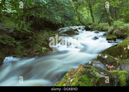 L'Est de la rivière Okement qui serpente dans la vallée, est Okement Dartmoor National Park Devon Uk Banque D'Images