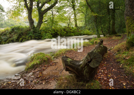 L'Est de la rivière Okement Dartmoor National Park près de Okehampton Devon Uk Banque D'Images