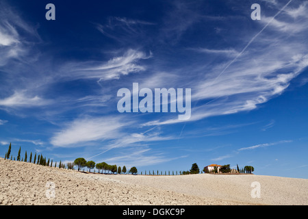 Une allée de cyprès conduisant à une villa toscane sous un grand ciel. Banque D'Images