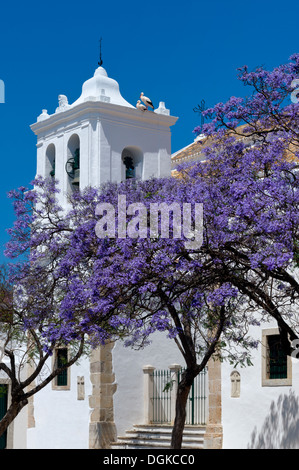 Le Portugal, l'Algarve, Faro, jacarandas en fleurs par l'Igreja de São Pedro church, avec un nid de cigognes sur la tour Banque D'Images