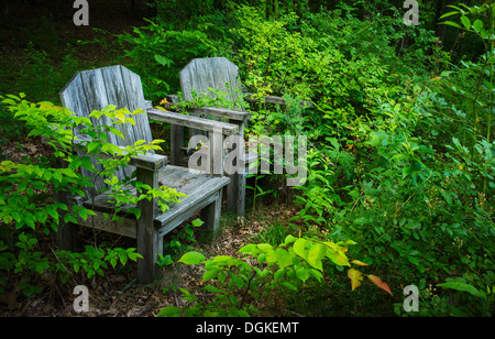 USA, New York City, chaises en bois dans la verdure Banque D'Images