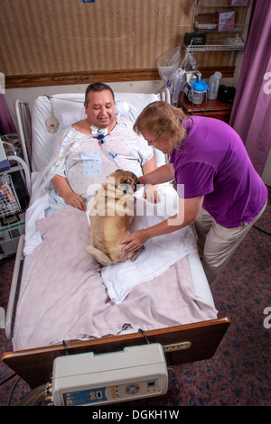 Un patient grabataire à une clinique de réadaptation de la Californie du Sud accueille le chien confort apporté par un bénévole. Banque D'Images