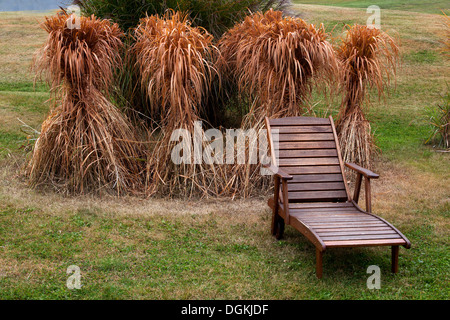 Jardin d'automne banc jardin meubles en bois Miscanthus herbe prêt pour l'hiver Banque D'Images