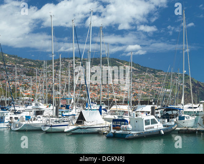 Yachts amarrés dans la marina. Banque D'Images