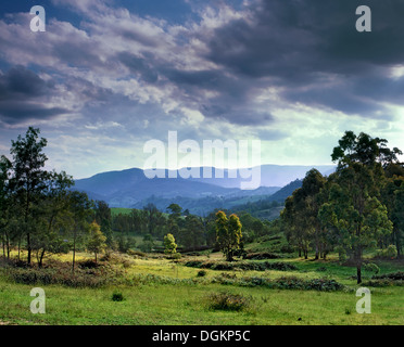 Une vue sur la Vallée de Megalong en regardant vers les Montagnes Bleues en Nouvelle Galles du Sud. Banque D'Images