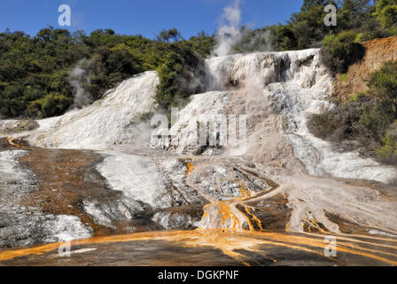 Cascade arc-en-ciel et terrasse, cave Orakei Korako et Parc Thermal, Hidden Valley, Rotorua, Taupo, île du Nord, Nouvelle-Zélande Banque D'Images