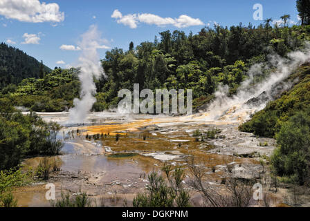 Palette d'artistes Orakei Korako, Grotte et Parc Thermal, Hidden Valley, Taopo-Rotorua, île du Nord, Nouvelle-Zélande Banque D'Images