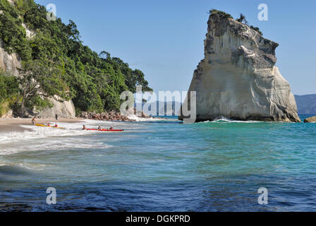 Rock dans les eaux peu profondes de la réserve marine Cathedral Cove, Hahei, péninsule de Coromandel, île du Nord, Nouvelle-Zélande Banque D'Images