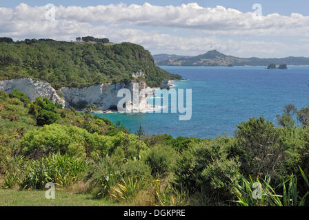 Formation côtière au pied de la cathédrale, la cathédrale de la réserve marine, Hahei, péninsule de Coromandel, île du Nord, Nouvelle-Zélande Banque D'Images