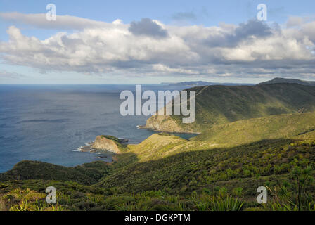 Soirée à Cape Reinga, vue de Tapotupotu Bay, Cape Reinga, île du Nord, Nouvelle-Zélande Banque D'Images