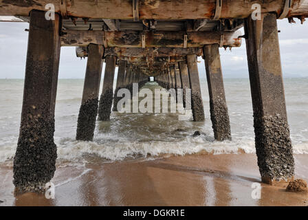 Hayles Jetty, vieille structure de bois, Picnic Bay, Magnetic Island, Queensland, Australie Banque D'Images