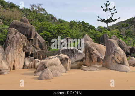 Rock formation, granit rouge, Balding Bay, côte nord, Magnetic Island, Queensland, Australie Banque D'Images