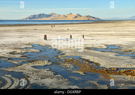 Les promeneurs marchant sur la plage la banque du Grand Lac Salé, Salt Lake City, Utah, USA Banque D'Images