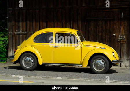 VW Volkswagen Coccinelle jaune Banque D'Images