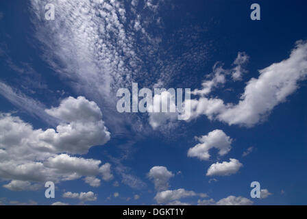 Les nuages, les cumulus et cirrus, against a blue sky Banque D'Images