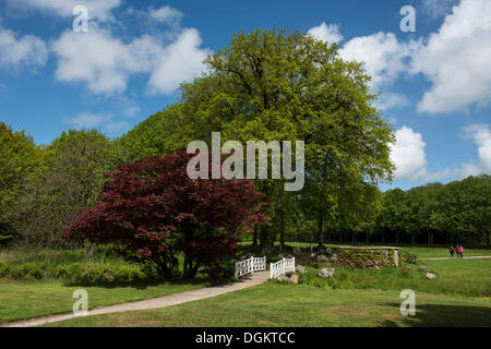 Pont en bois blanc avec arbres, Luetetsburg Jardins du Château, le plus grand des jardins paysagers anglais de Frise orientale, Basse-Saxe Banque D'Images