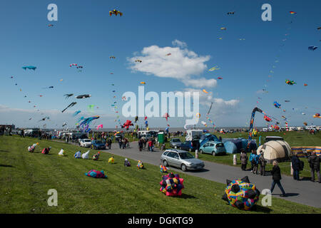 Drachenfest International kite festival, Norden, Frise orientale, Basse-Saxe Banque D'Images