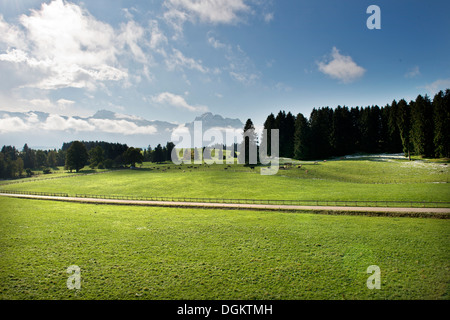 Allemagne, Bavière, entourant de Fussen, Paysage Banque D'Images