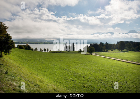 Allemagne, Bavière, entourant de Fussen, Paysage Banque D'Images