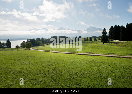 Allemagne, Bavière, entourant de Fussen, Paysage Banque D'Images