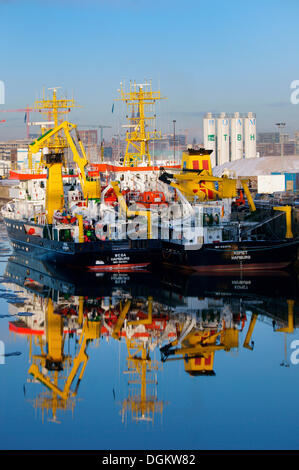 Les navires de l'enquête et Wega Komet, pause d'hiver dans le port de Hambourg, Hambourg, Hambourg, Allemagne Banque D'Images