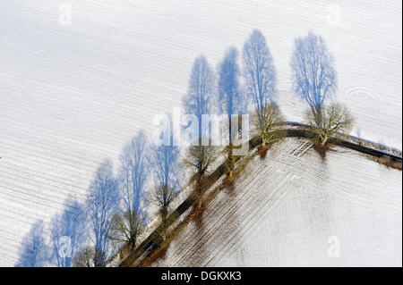 Vue aérienne, avenue bordée d'arbres en hiver, Stellshagen, Mecklenburg Vorpommern, Allemagne Banque D'Images