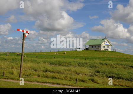 NABU maison sur un terp, moutons sur la colline et une barrière de circulation signe, Hamburger Hallig, Frise du Nord, Schleswig-Holstein Banque D'Images